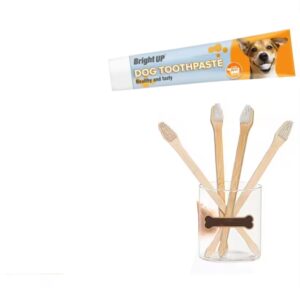 Cepillo dental Bamboo + Crema Dental