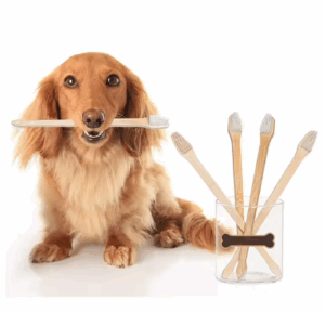 Cepillo de Bamboo Mascotas